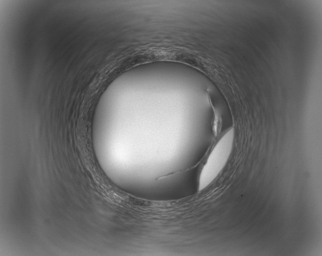 X0000080701249200612150827