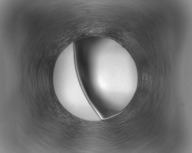 X0000080701250200612150827