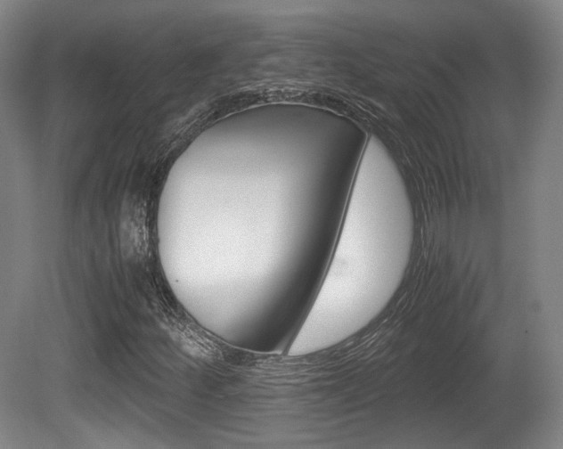 X0000080701252200612150827