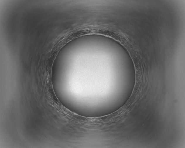 X0000080701253200612150827