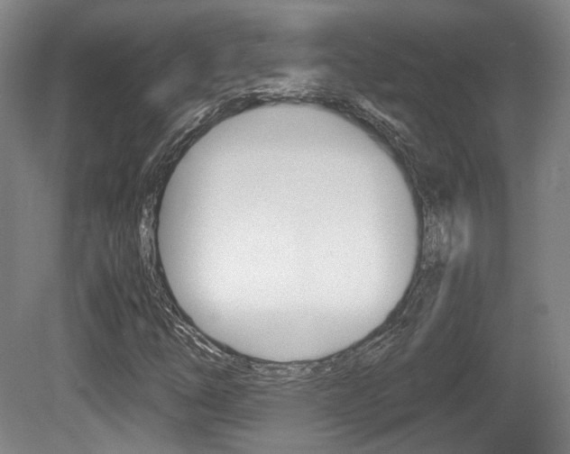 X0000080701254200612150827