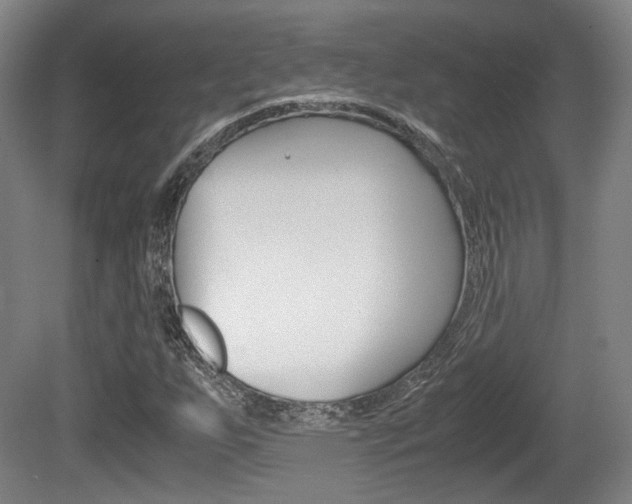 X0000080701255200612150827