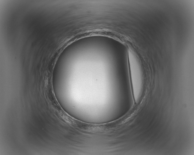 X0000080701257200612150827