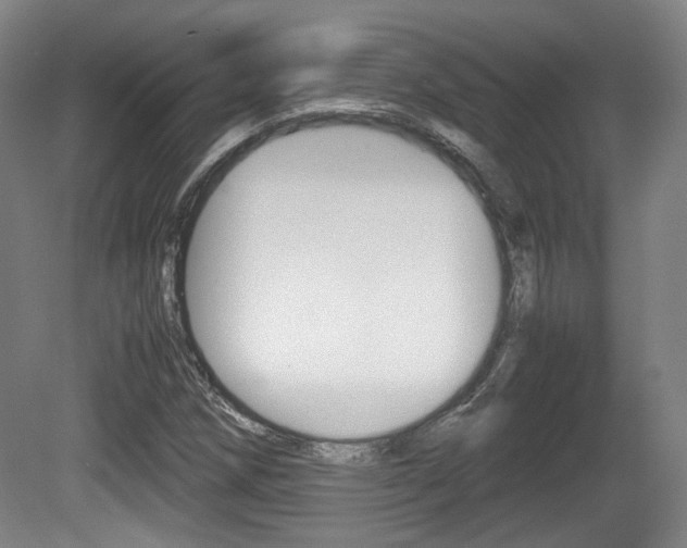X0000080701258200612150827