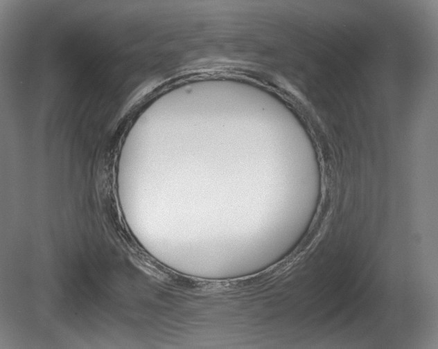 X0000080701259200612150827