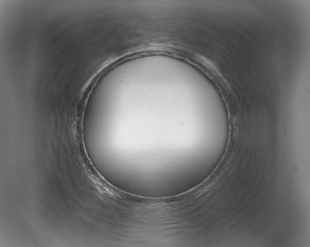 X0000080701260200612150827