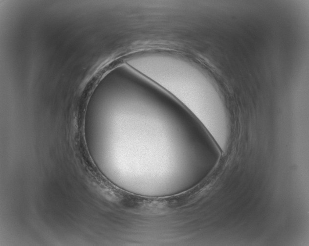 X0000080701261200612150827