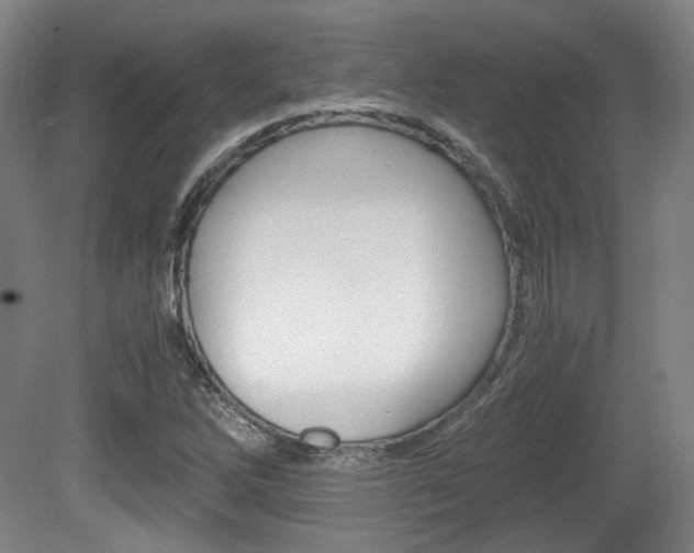 X0000080701262200612150827