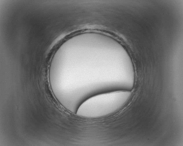 X0000080701263200612150827