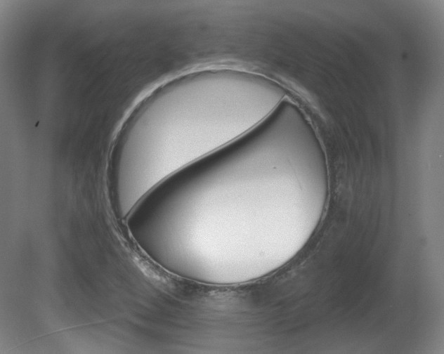 X0000080701264200612150827