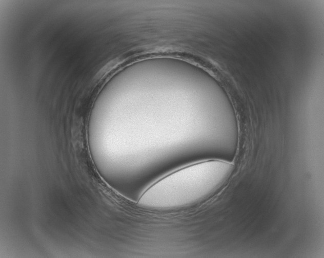 X0000080701265200612150827
