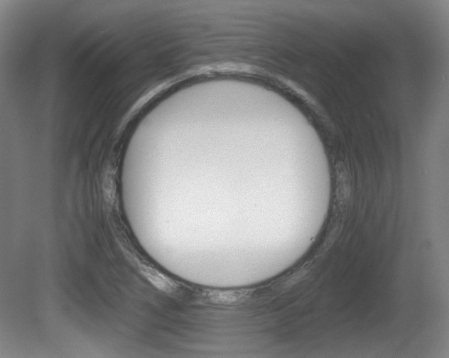 X0000080701266200612150827