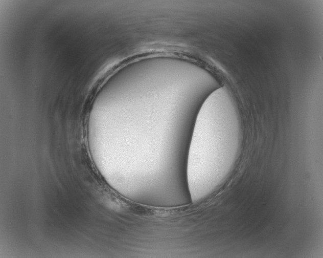X0000080701267200612150827