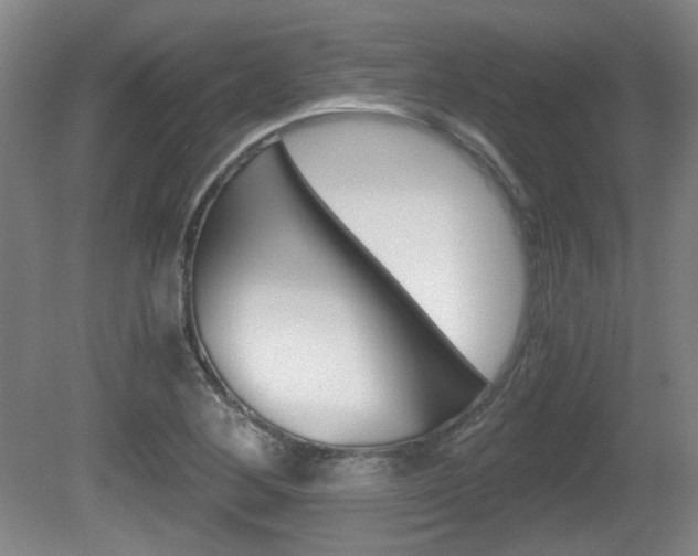 X0000080701268200612150827
