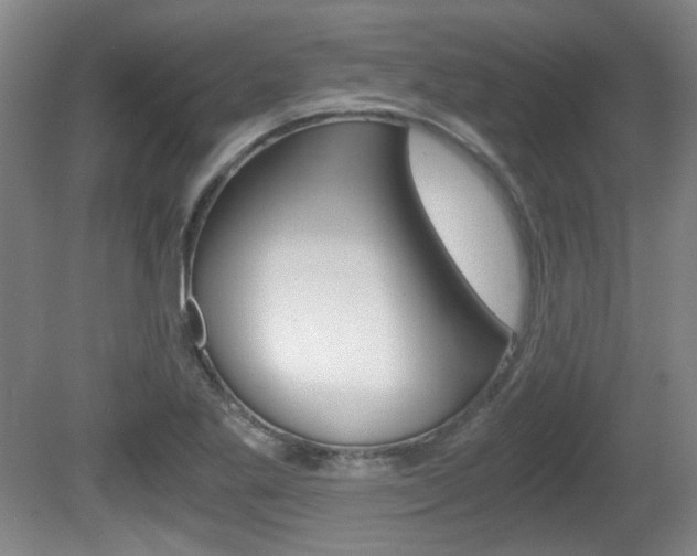 X0000080701269200612150827
