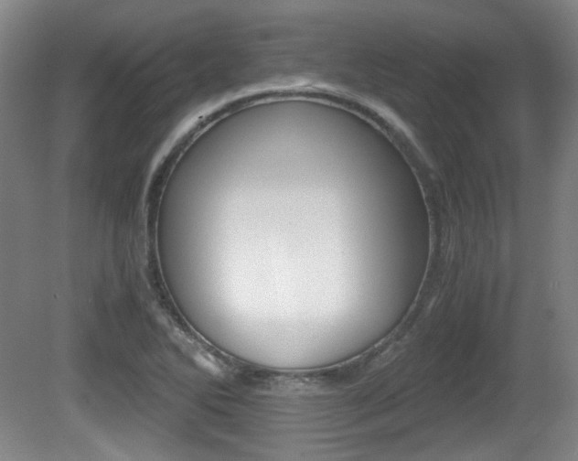 X0000080701270200612150827