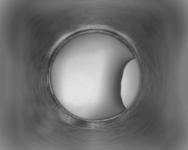 X0000080701271200612150827