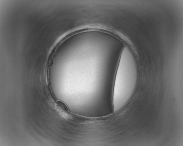 X0000080701272200612150827