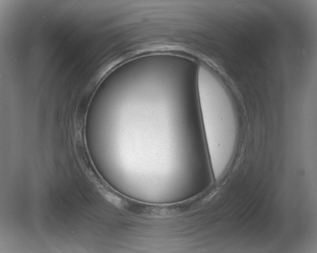 X0000080701273200612150827