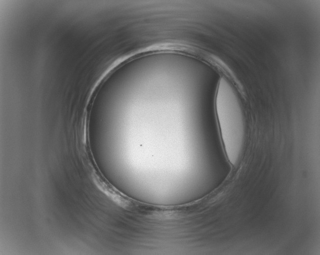 X0000080701276200612150827