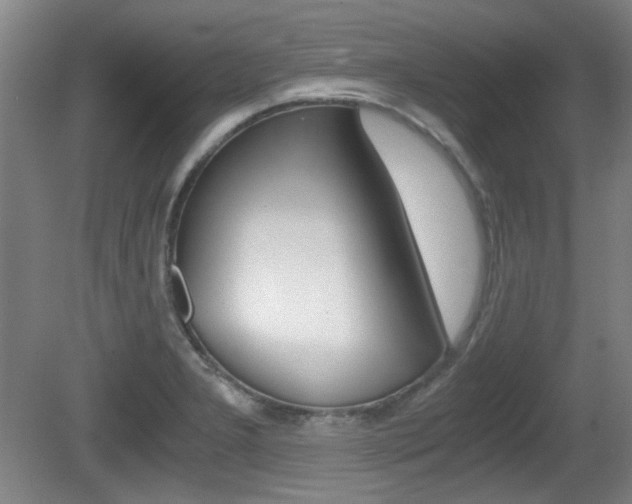 X0000080701277200612150827