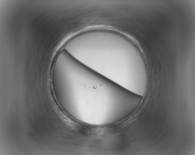 X0000080701279200612150827