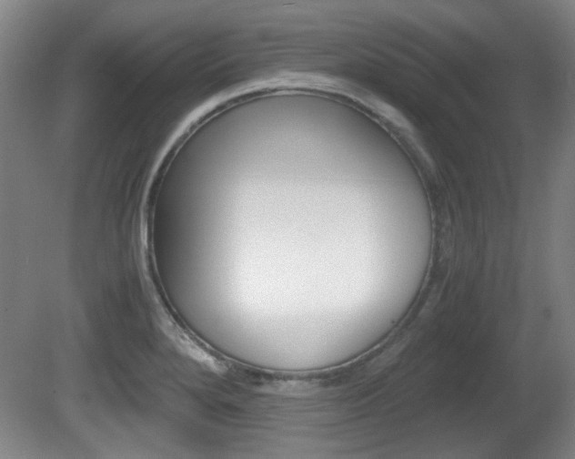 X0000080701280200612150827