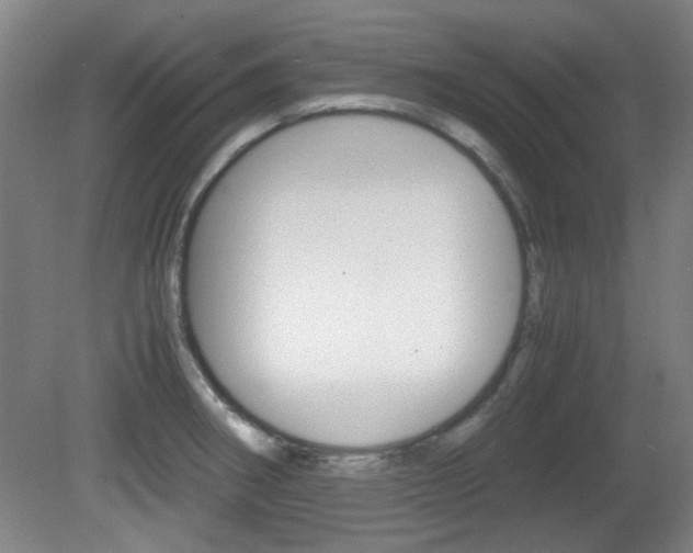 X0000080701282200612150827