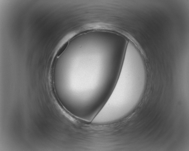 X0000080701285200612150827