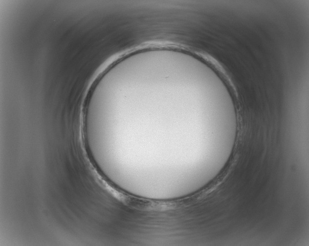 X0000080701286200612150827
