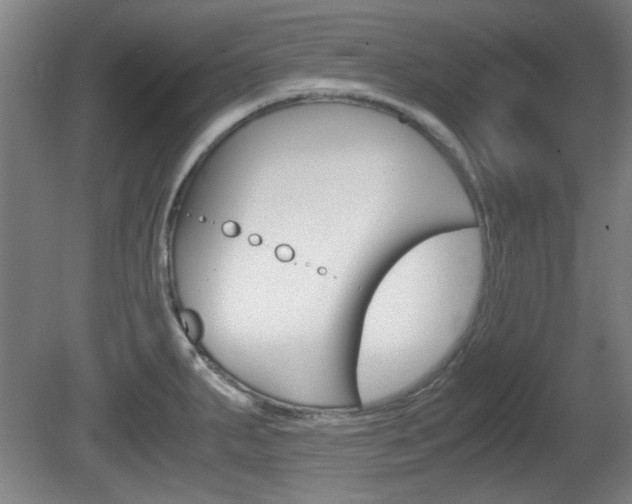X0000080701287200612150827
