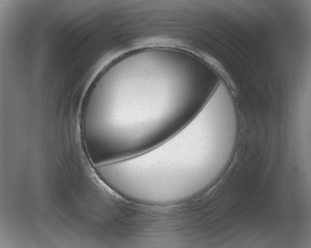 X0000080701288200612150827
