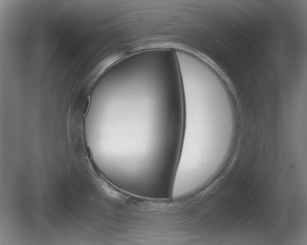 X0000080701289200612150827