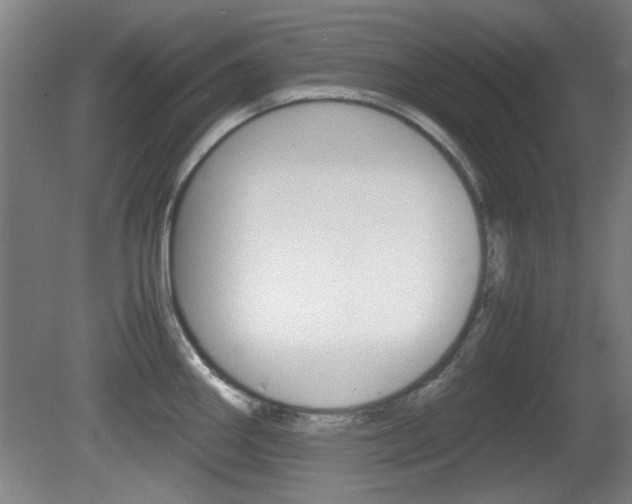 X0000080701290200612150827