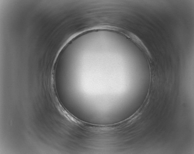 X0000080701292200612150827