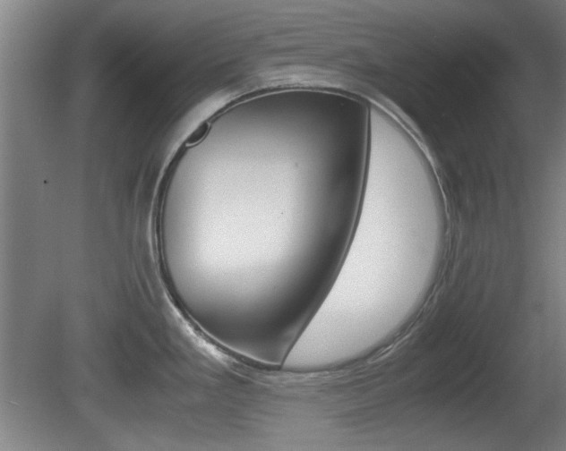 X0000080701293200612150827