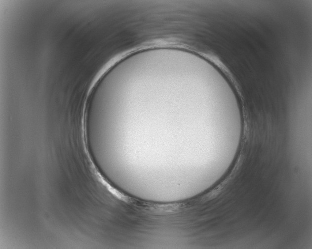 X0000080701294200612150827
