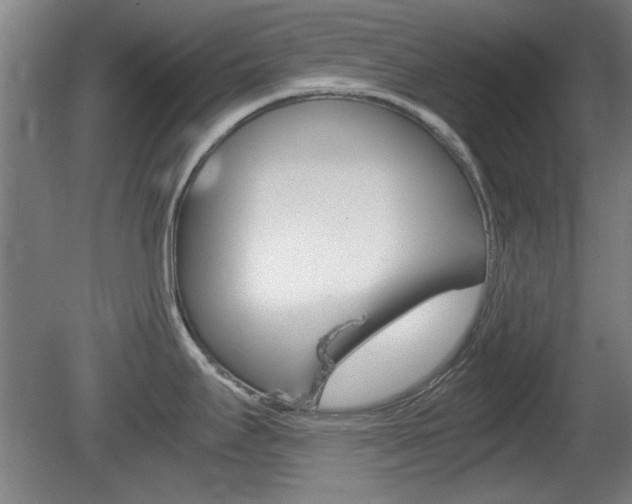 X0000080701295200612150827