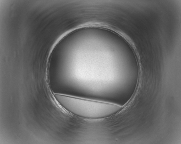 X0000080701296200612150827