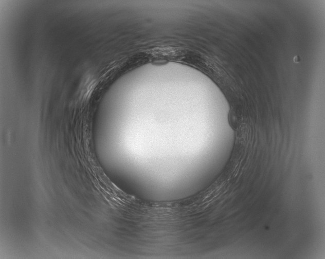 X0000080701297200612150826