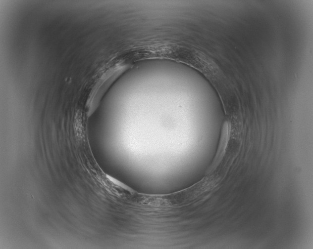 X0000080701298200612150826