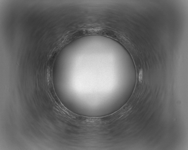 X0000080701299200612150826