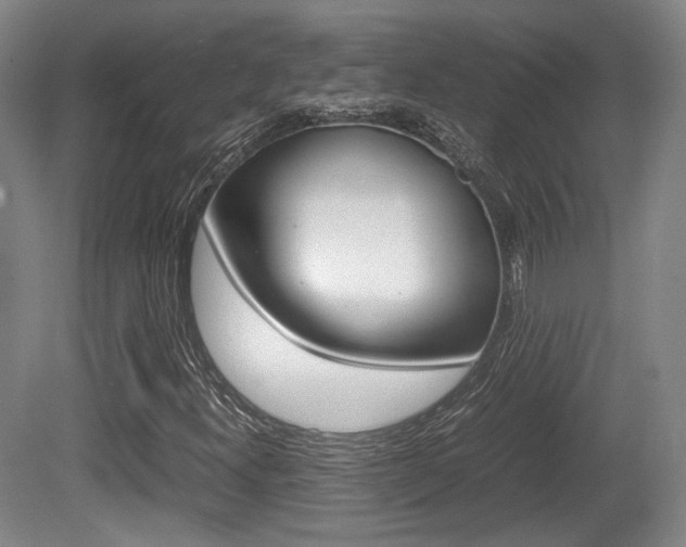 X0000080701300200612150826