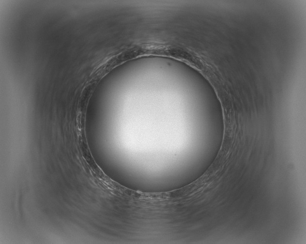 X0000080701301200612150826