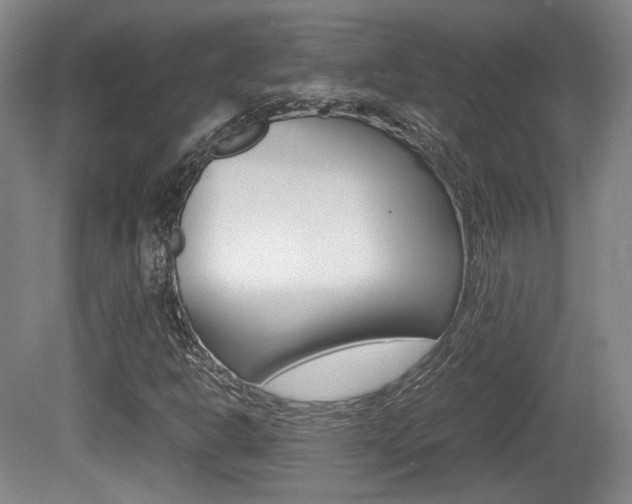 X0000080701302200612150826