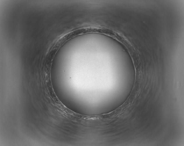 X0000080701303200612150826