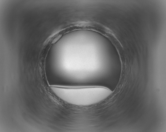 X0000080701304200612150826