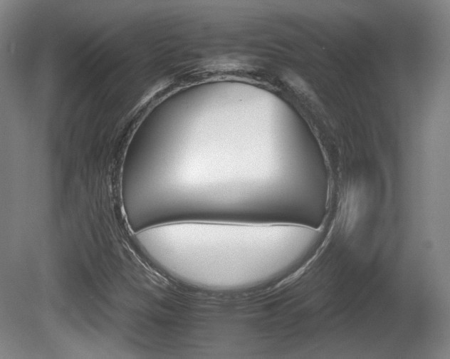 X0000080701305200612150826