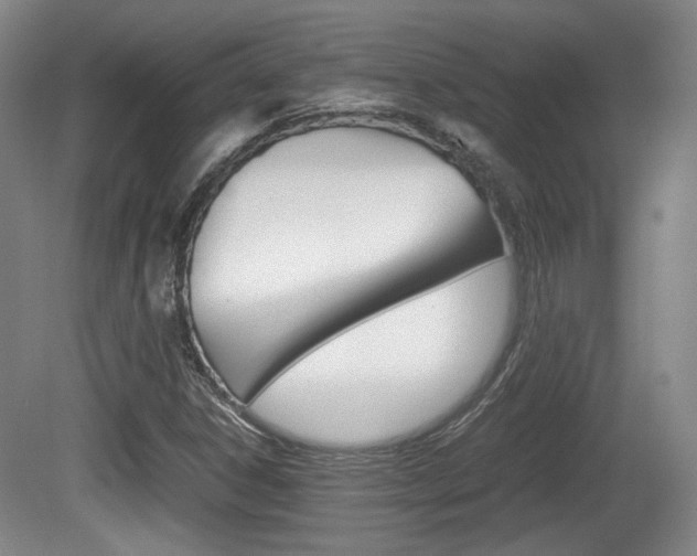 X0000080701306200612150826