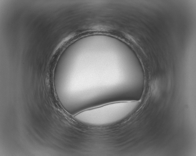 X0000080701307200612150826